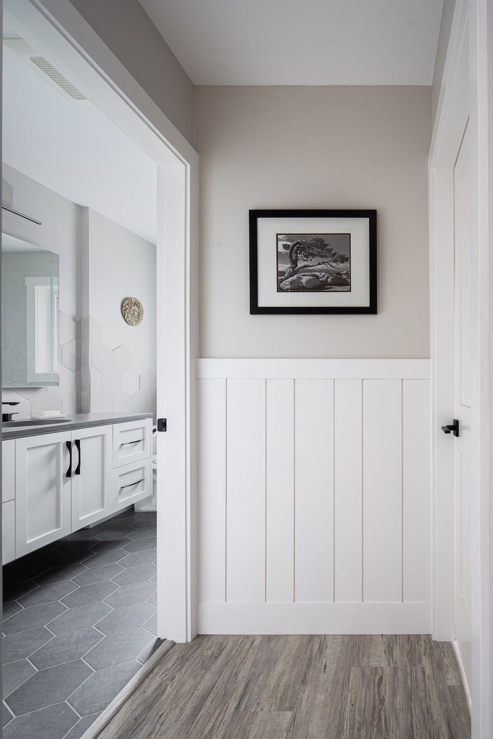 vertical shiplap wainscotting
